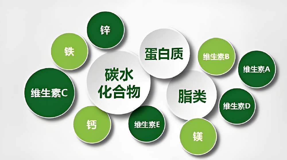 高血压与营养素的深入探索