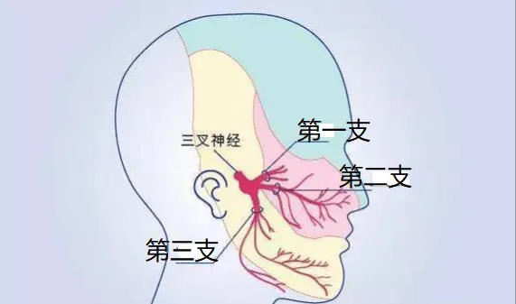f43d023b21680385254765576b895b6.png