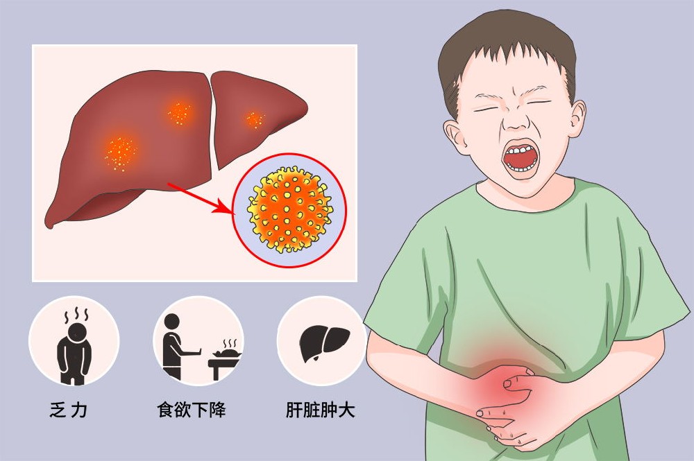 药食同源妙方，吃出健康肝脏远离肝炎