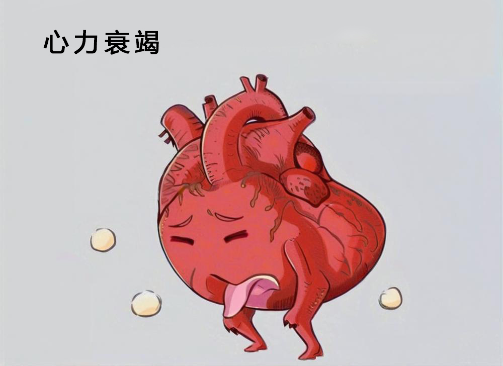 你的心脏在喊“累”吗？这些心衰诱因你中了几条？