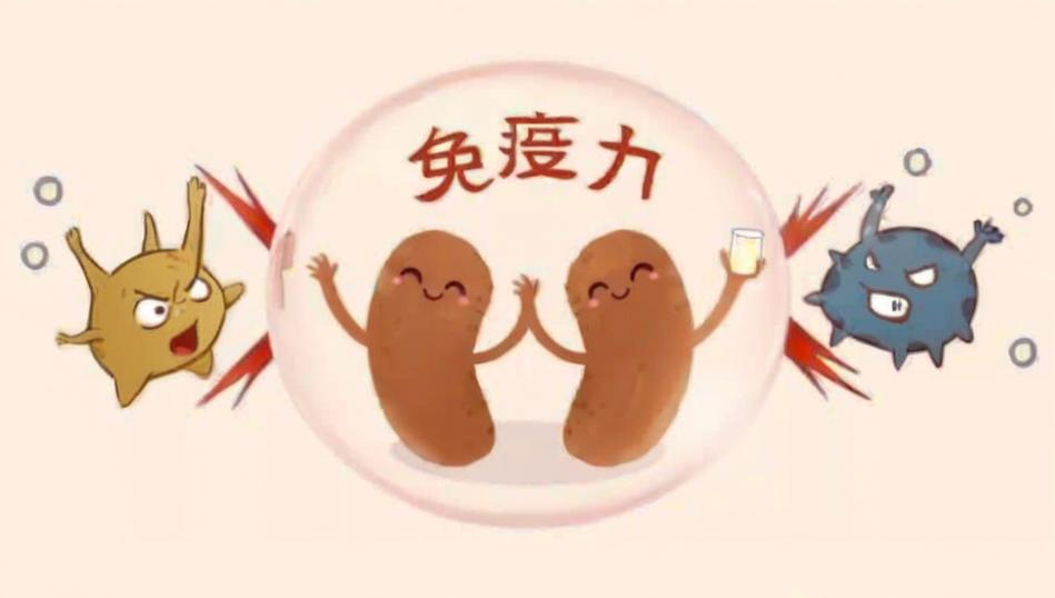 提升免疫力就是提高抗癌力！做好两件每日小事，免疫力强了，患癌几率也下降