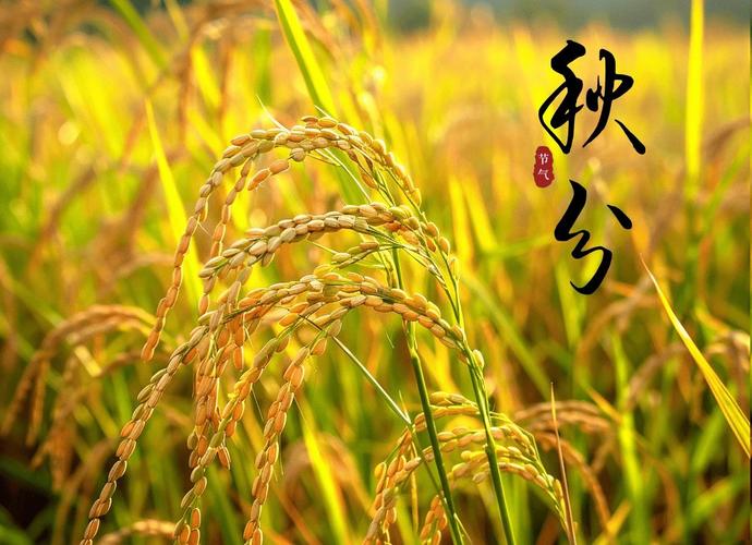 秋分养生 “四防一固” 怎么做？南京太乙堂中医教你科学调护