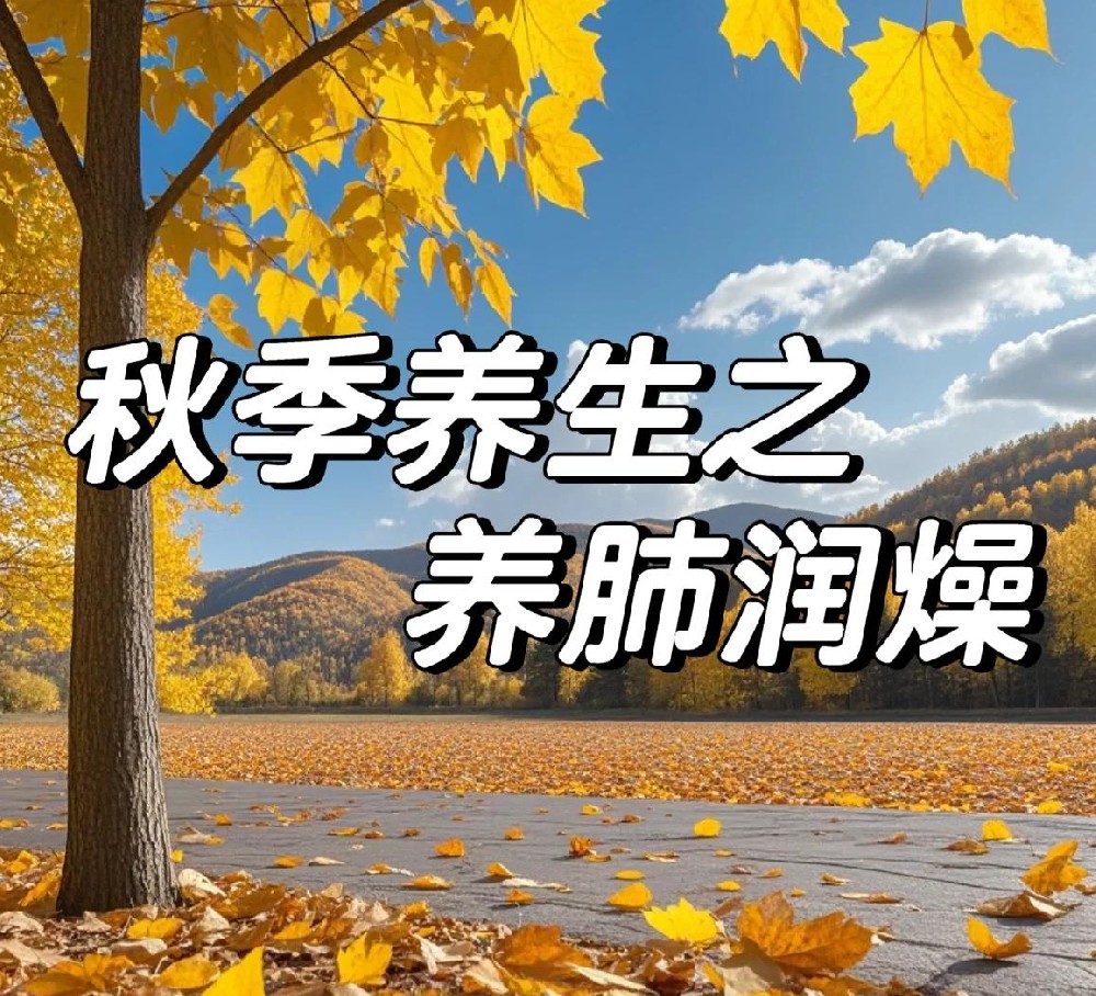 秋季养肺正当时！做好这3点，肺脏更健康
