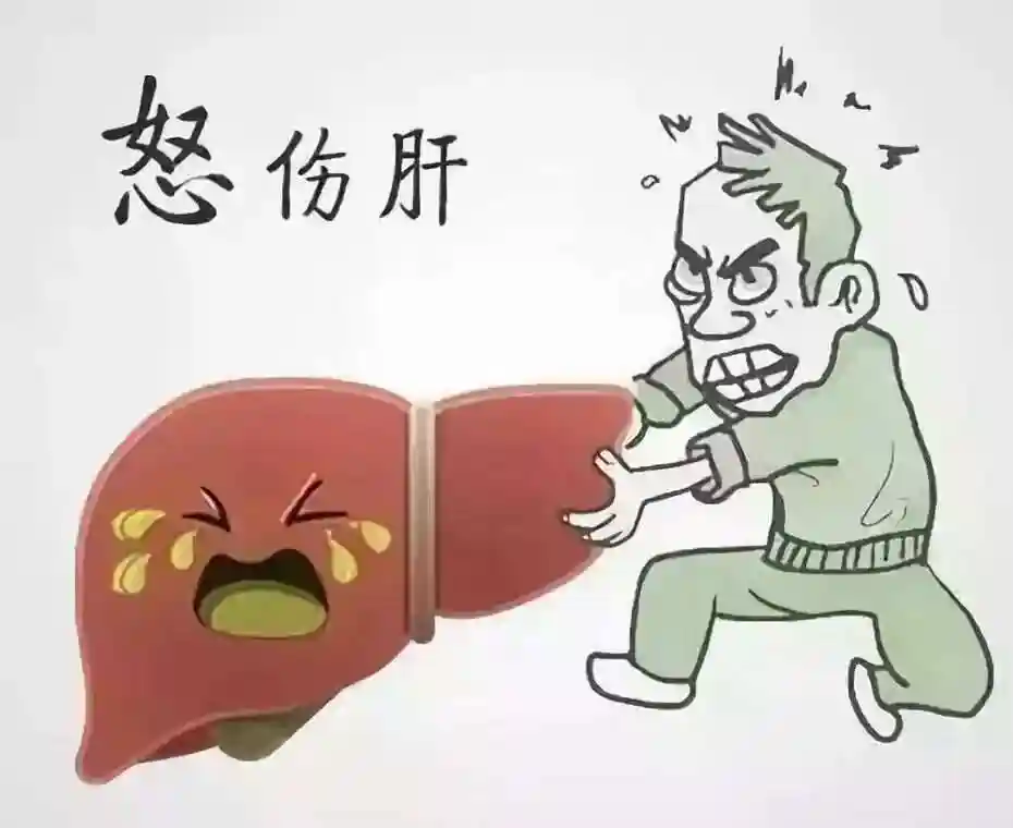 中医讲
